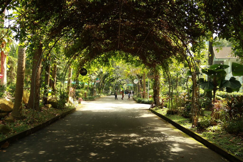 batumi botanical garden