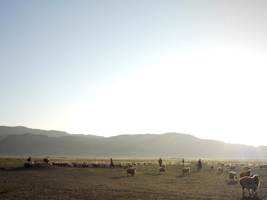 shiraki valley